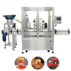 High Quality Sauce Filling Machine for Food Manufacture Plant